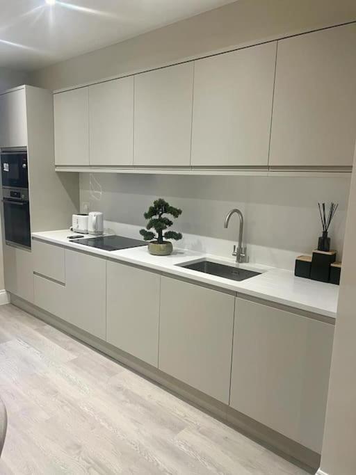 Апартаменти New Flat In Holland Park Лондон Екстер'єр фото